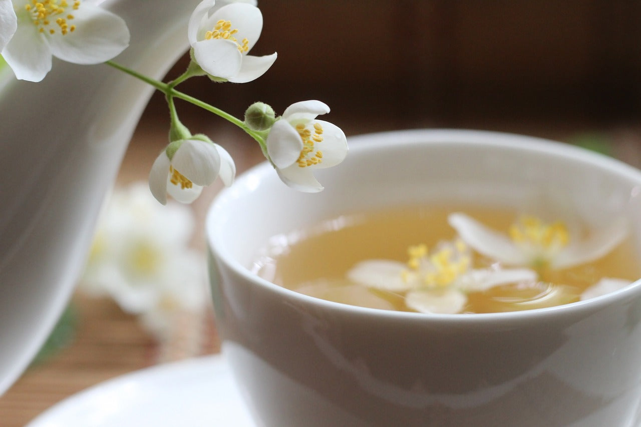 How to Choose the Right Organic White Tea for You