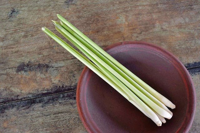 A Guide Growing and Using Lemongrass: A Refreshing Addition to Your Garden - Nepal Tea