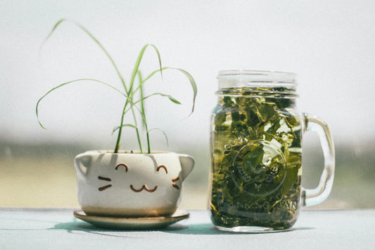 A muf of herbal tea next to a ceramic vessel with leaves growing out of it. 