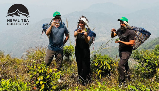 Tea Tourism : A Global Exploration - Nepal Tea