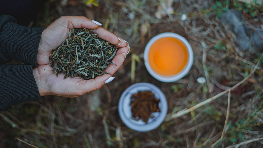 Uncovering the Hidden Gem: The Rise of Nepalese Loose Leaf Tea - Nepal Tea