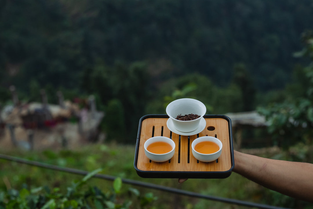 Unveiling the Distinction: First Flush vs. Second Flush Tea - Nepal Tea