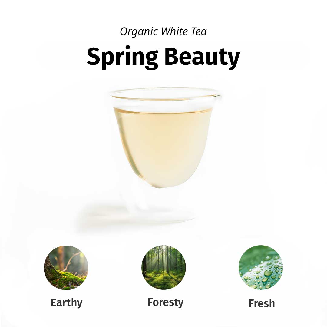 Spring Beauty - White Tea