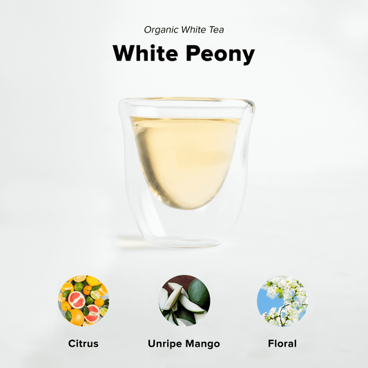 White Peony Tea