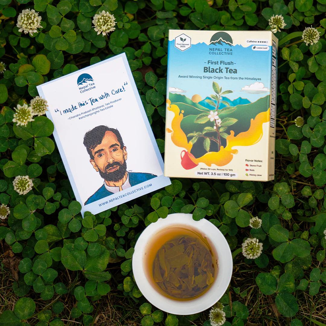 First Flush Black Tea - 2026 Harvest