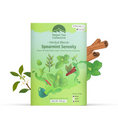 Load image into Gallery viewer, Spearmint Serenity – Green Tea Blend with Spearmint
