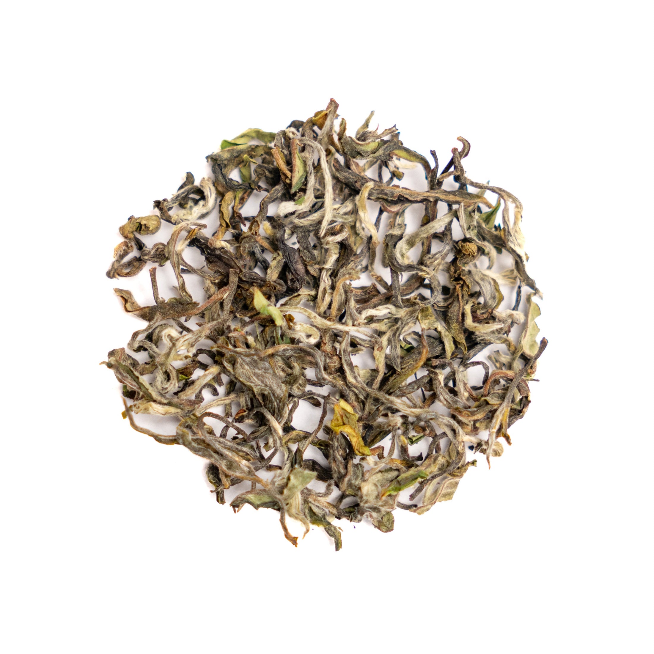 Spring Beauty - White Tea