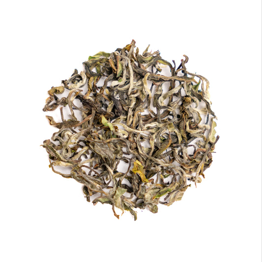 Spring Beauty - White Tea