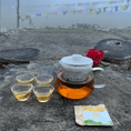 Load image into Gallery viewer, The Tea Explorer Set
