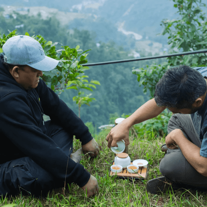 Himalayan Mist (Special Green Tea) - 15 Pyramid Tea Bags