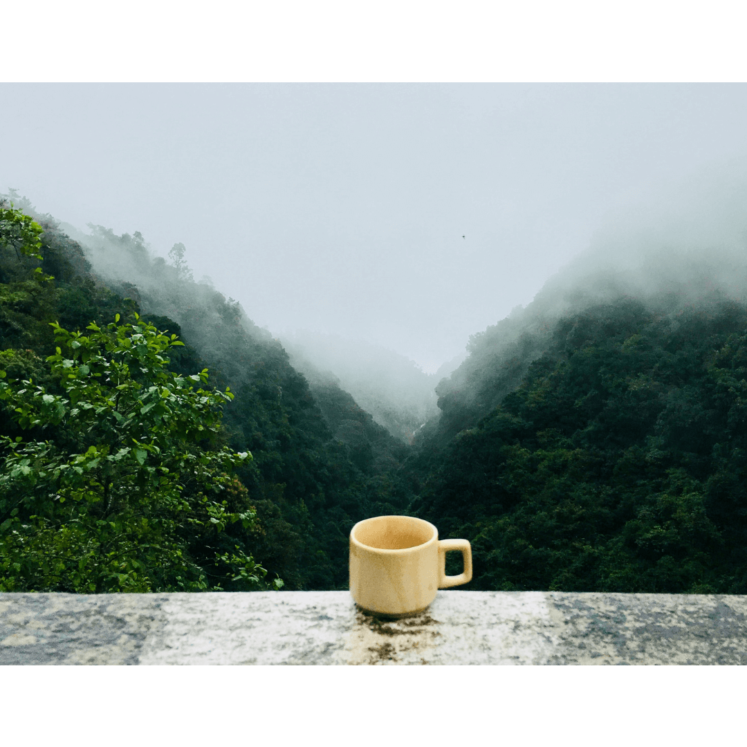 Kaalo - Special Black Tea