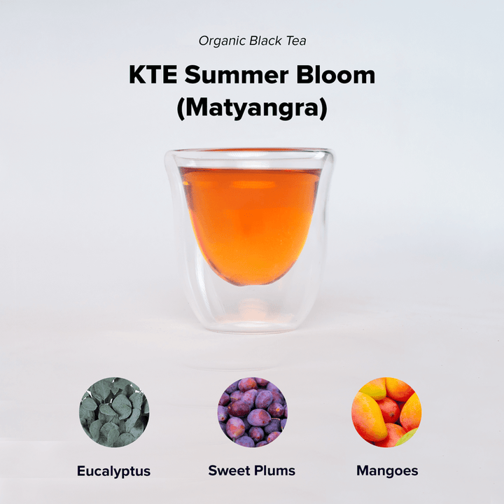 KTE Summer Bloom (Matyangra)